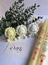 IMG_4736.webp